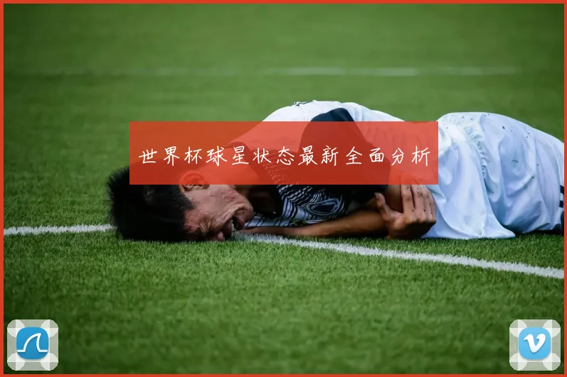 世界杯球星状态最新全面分析