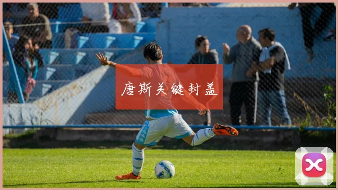 唐斯关键封盖