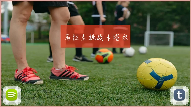 乌拉圭挑战卡塔尔
