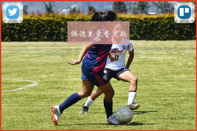 佩德里荣誉之战