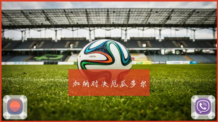 加纳对决厄瓜多尔