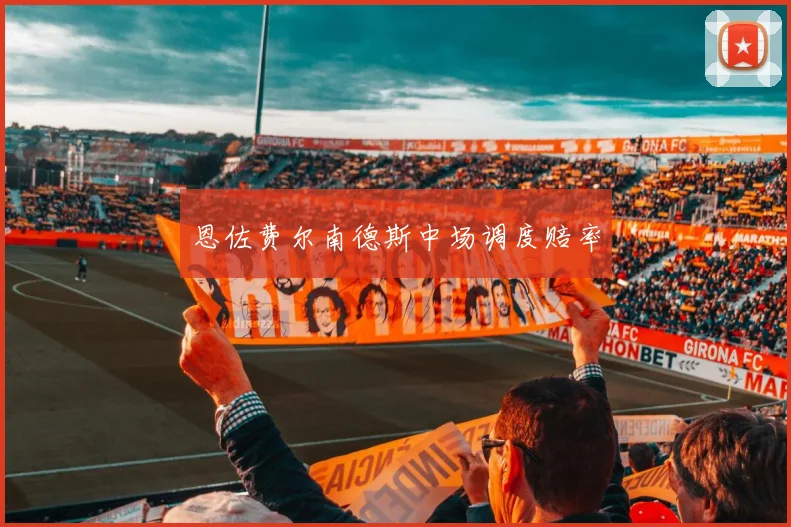 恩佐费尔南德斯中场调度赔率