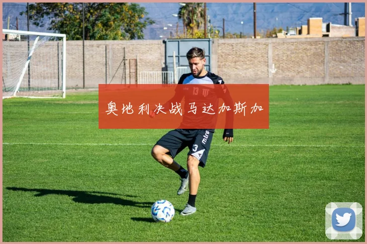 奥地利决战马达加斯加